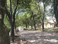 20260629 115907  This is the tree-lined street