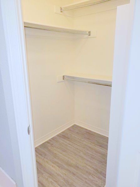 Walk-in closet in master bath