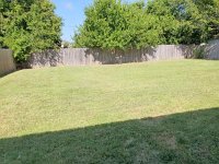 Large fenced yard